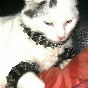 Meet your Posher, Lian